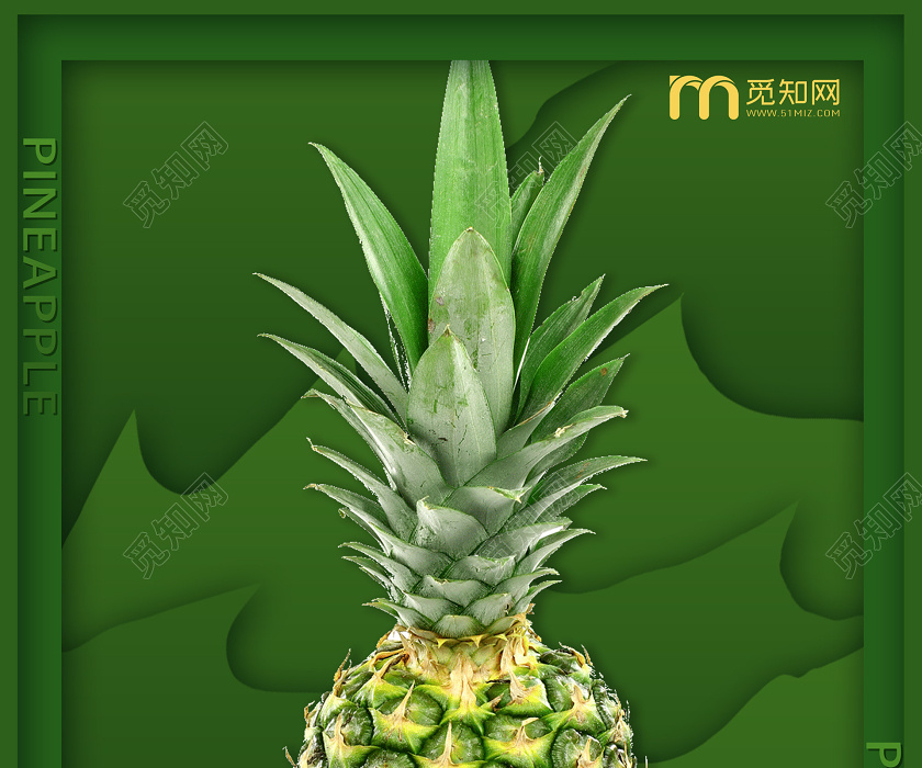 绿色创意新鲜水果菠萝促销宣传海报