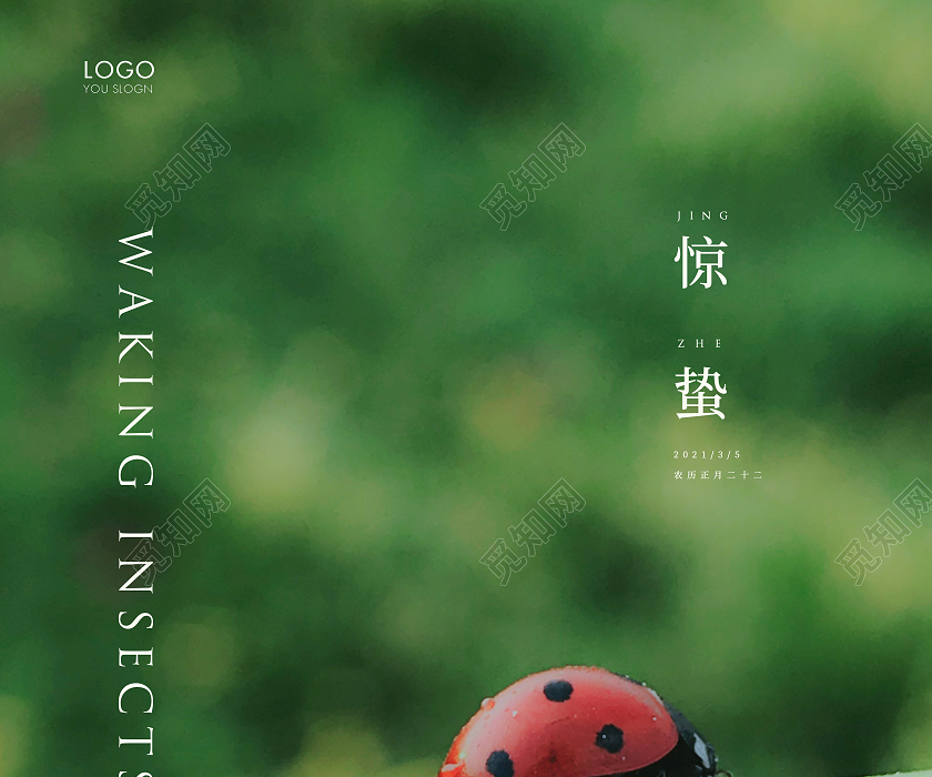 绿色简约二十四节气惊蛰节气宣传海报24节气二十四节气惊蛰