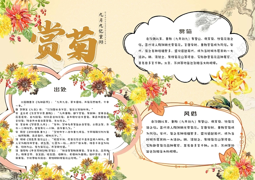 黄色背景赏菊手抄报