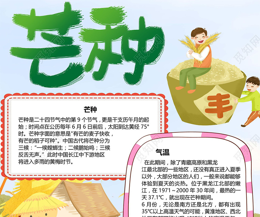 卡通二十四节气芒种节气丰收麦子收获手抄报