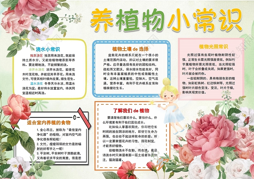 养植物小常识植物观察记录手抄报小报
