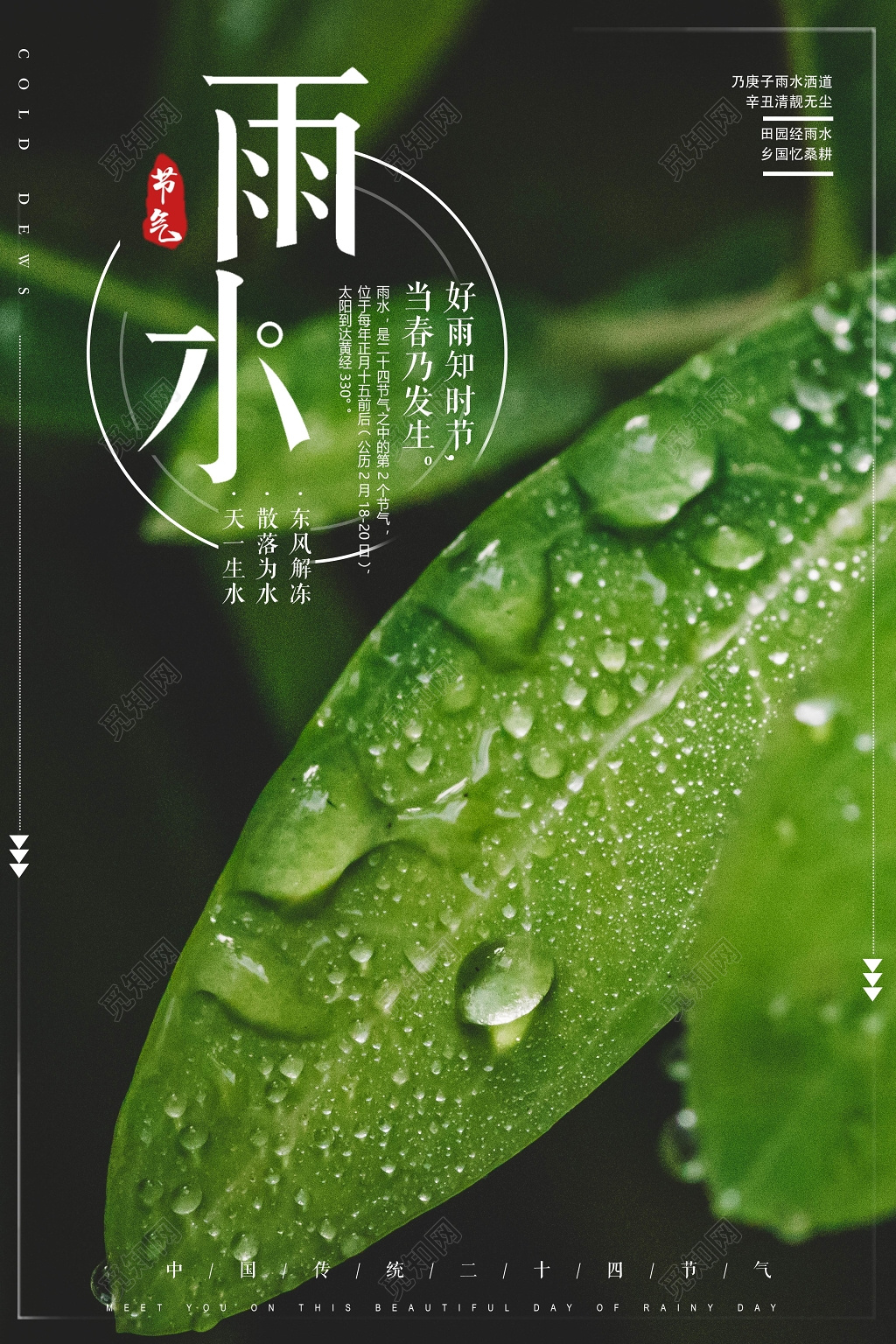 手绘小清新雨水节气插画图片-千库网