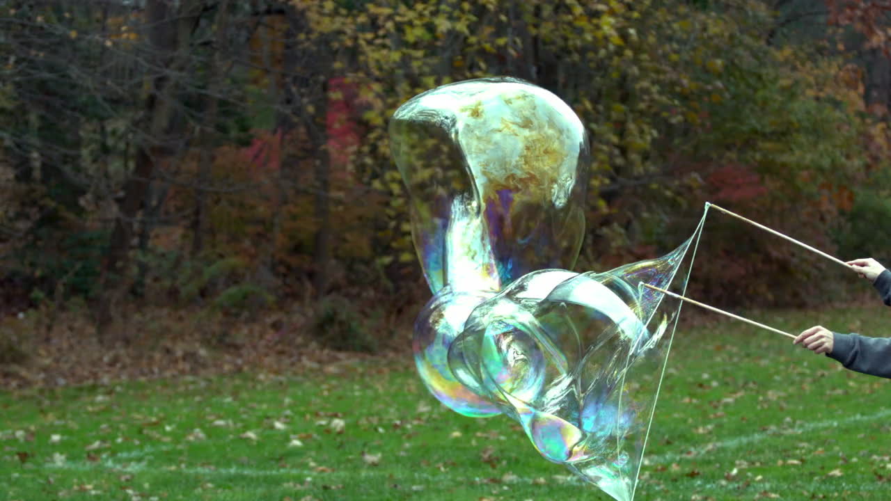 世界上最大的泡泡图片